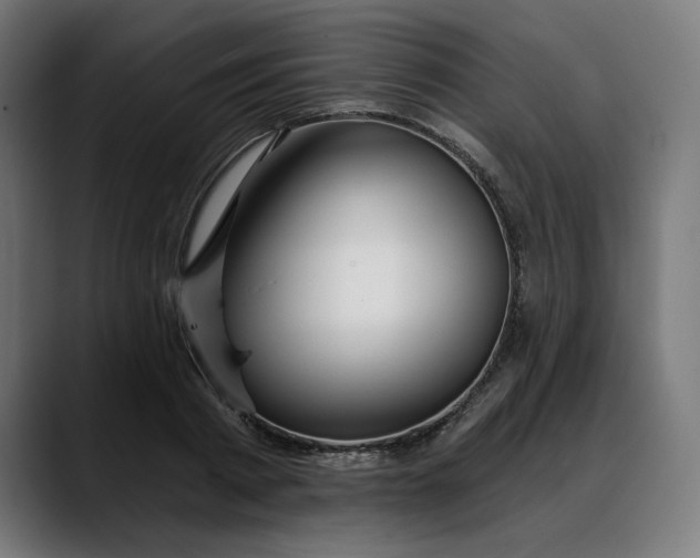 X0000088040793200705251301