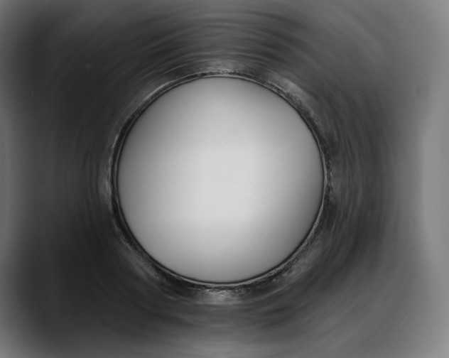 X0000088040794200705251301