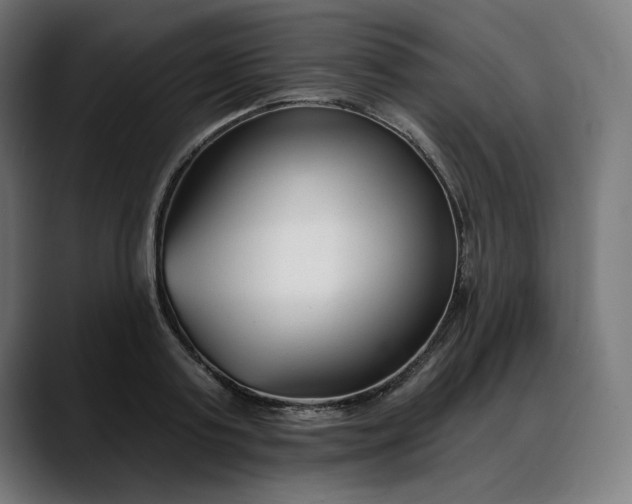 X0000088040795200705251301