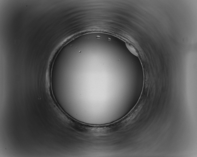 X0000088040796200705251301