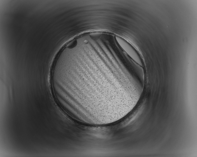 X0000088040797200705251301