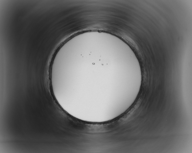 X0000088040800200705251301