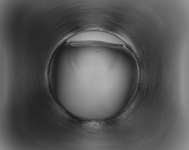X0000088040806200705251300