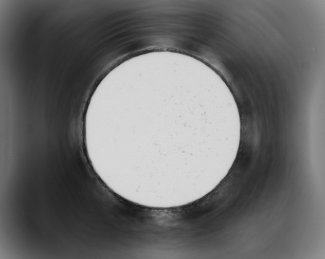 X0000088040807200705251300