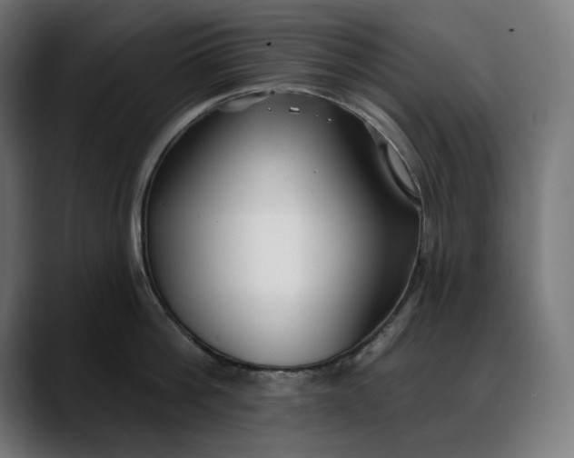 X0000088040812200705251300