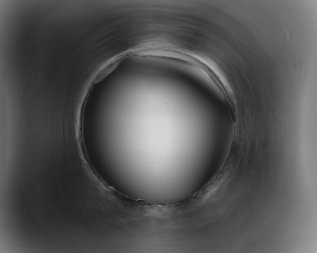 X0000088040815200705251300