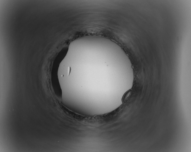 X0000088040817200705251300