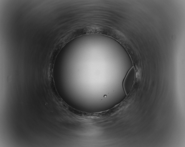 X0000088040819200705251300