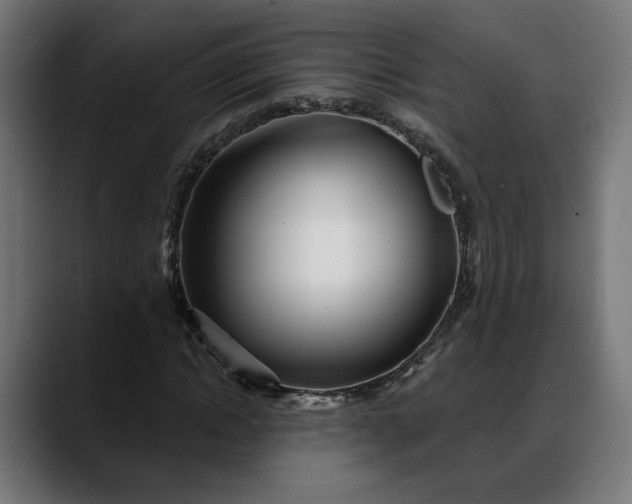 X0000088040822200705251300