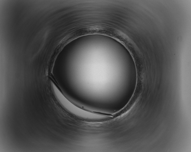 X0000088040825200705251300