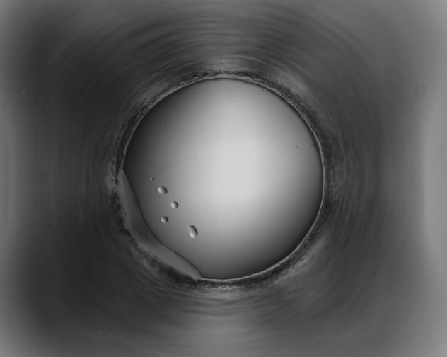 X0000088040833200705251300