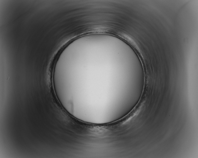 X0000088040835200705251300