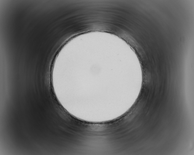 X0000088040836200705251300