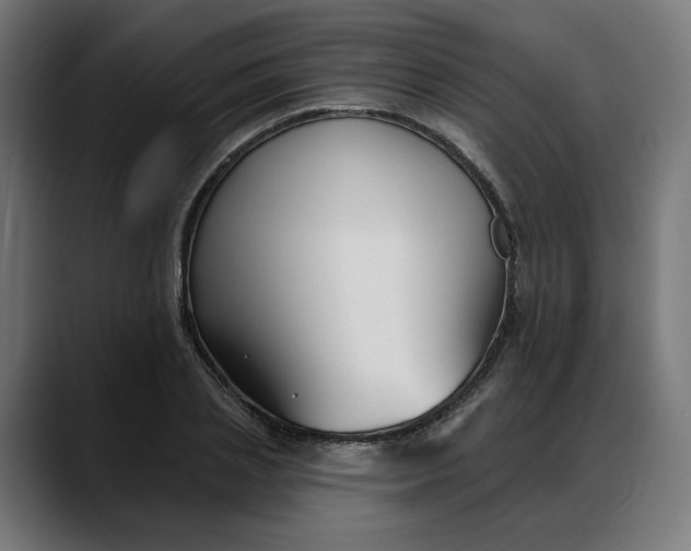 X0000088040837200705251300