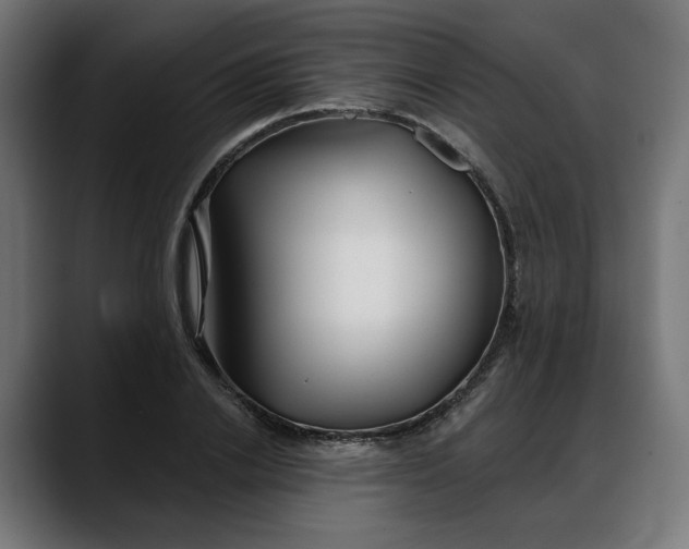 X0000088040838200705251300