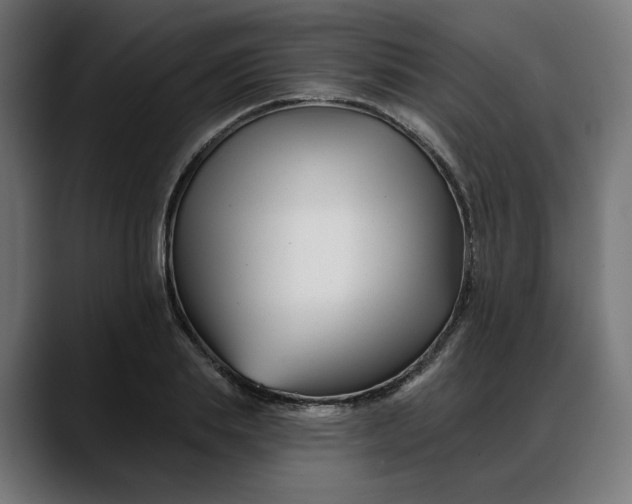 X0000088040839200705251300