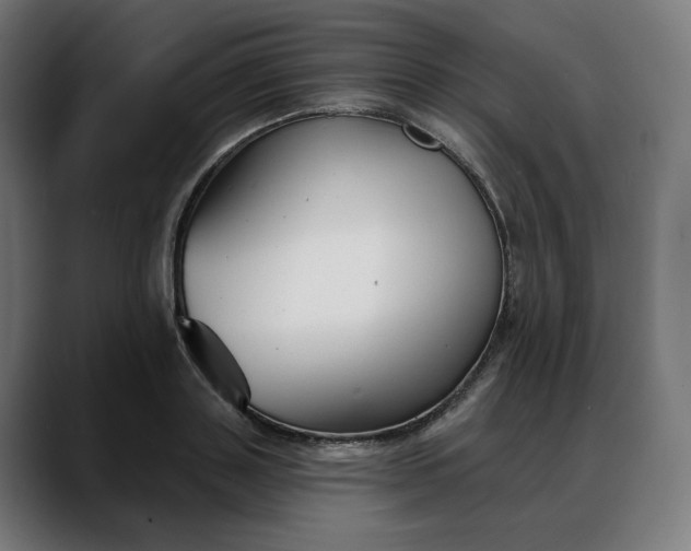 X0000088040843200705251300