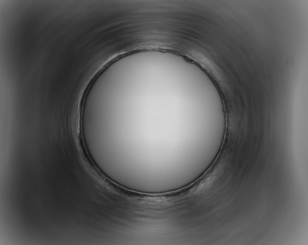 X0000088040844200705251300