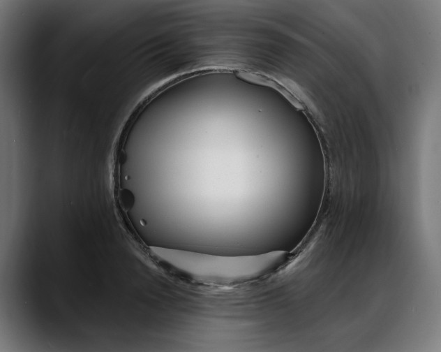 X0000088040846200705251300