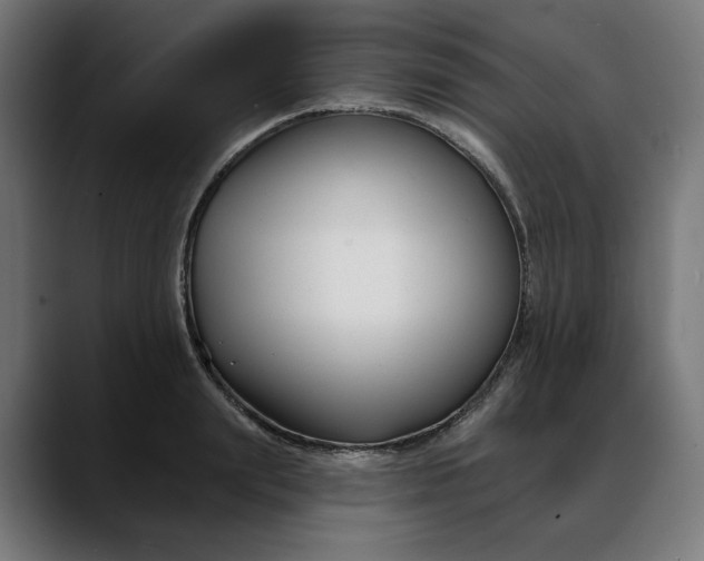 X0000088040847200705251300