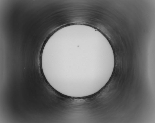 X0000088040848200705251300