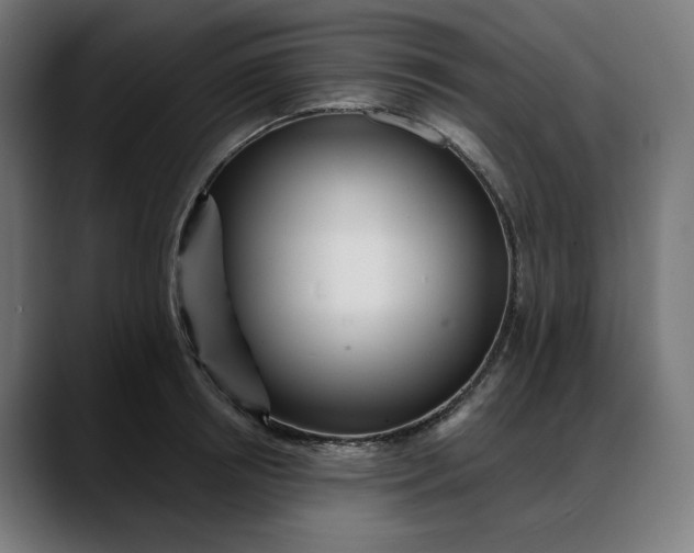 X0000088040850200705251300