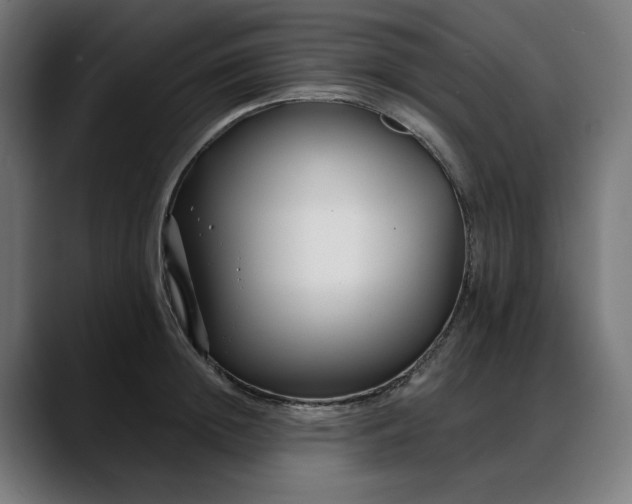 X0000088040852200705251300