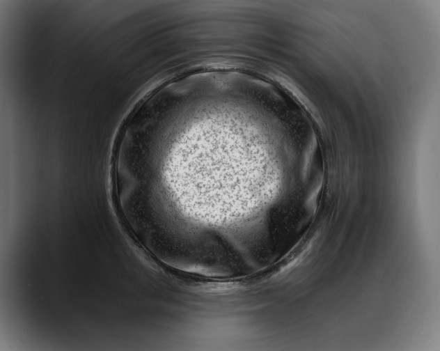 X0000088040853200705251300