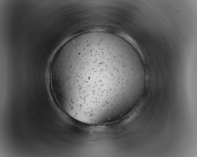X0000088040859200705251300