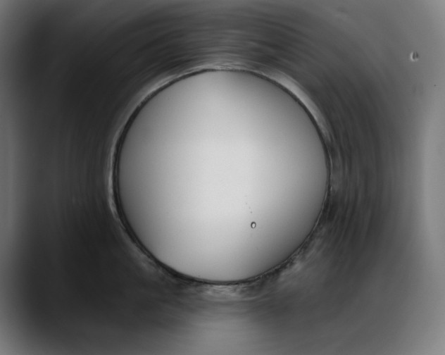 X0000088040861200705251300