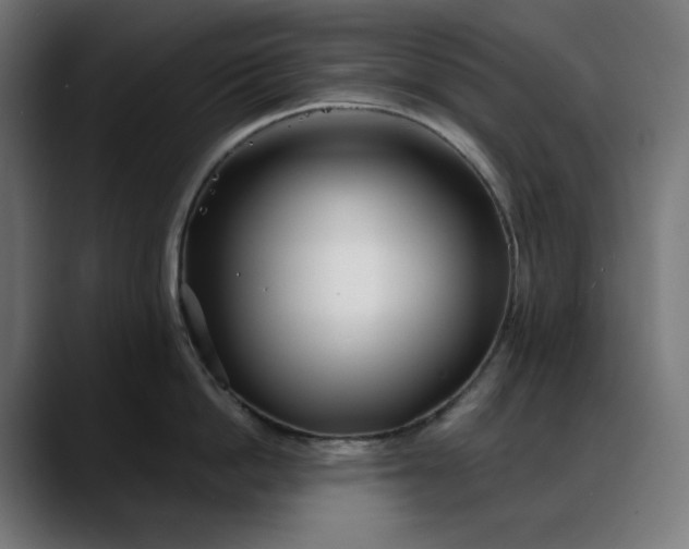 X0000088040862200705251300