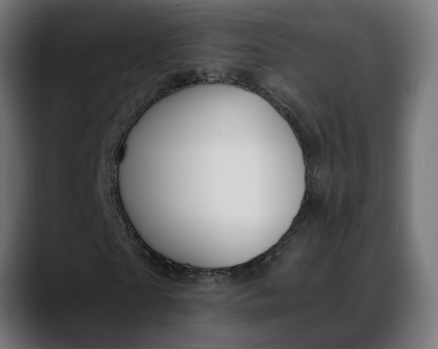 X0000088040865200705251300