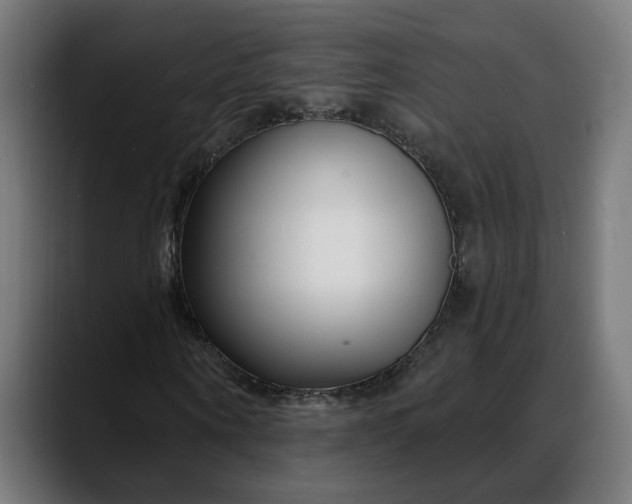 X0000088040866200705251300