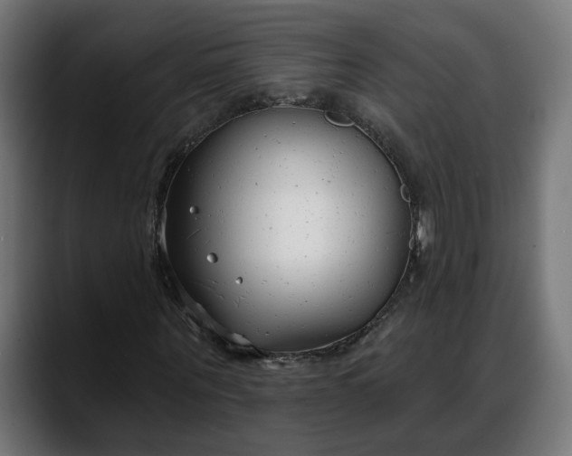 X0000088040867200705251300