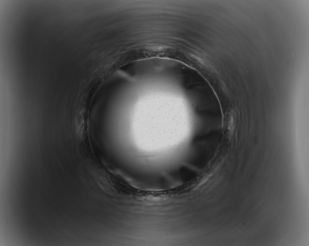 X0000088040868200705251300