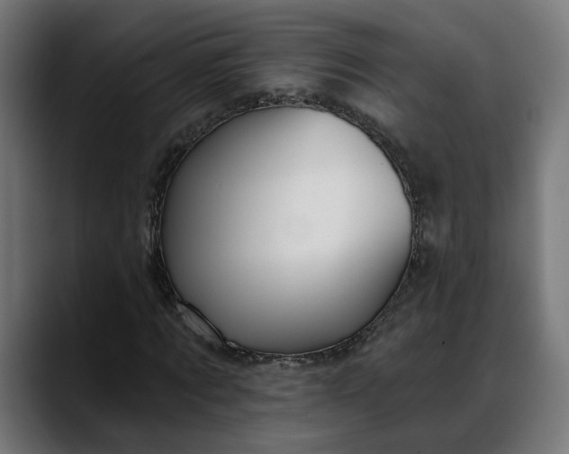 X0000088040869200705251300