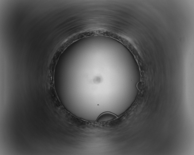 X0000088040871200705251300