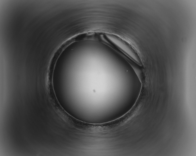 X0000088040880200705251259