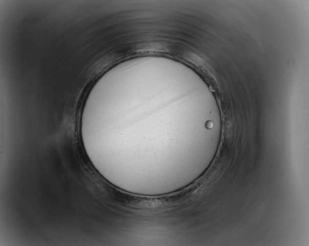 X0000088040882200705251259
