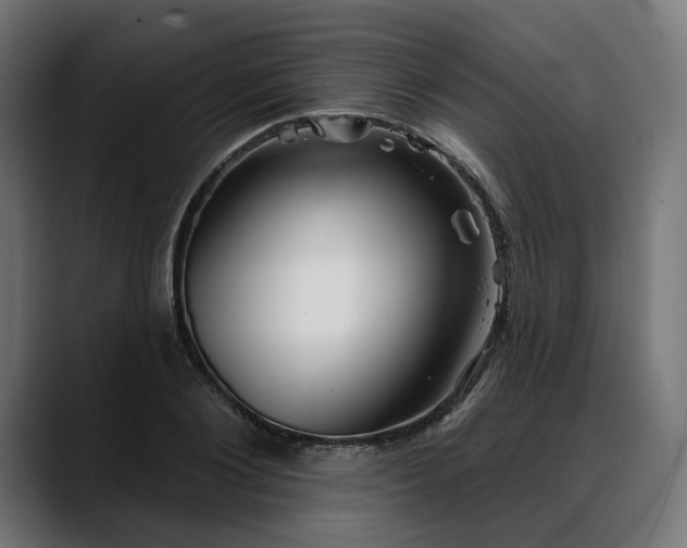 X0000088040884200705251259