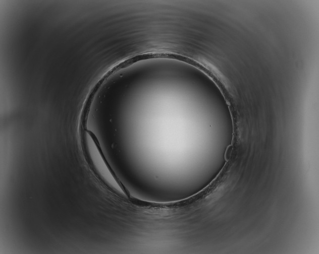X0000088040885200705251259