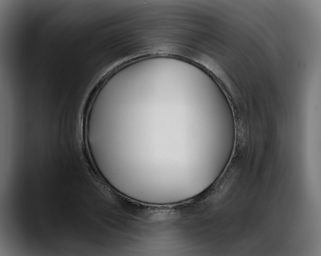 X0000088040886200705251259