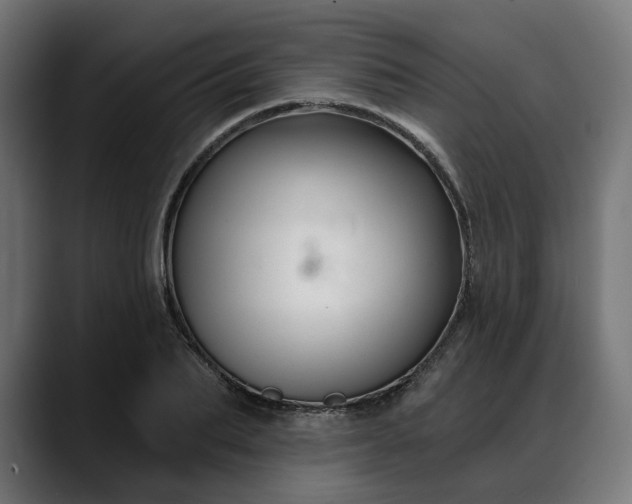 X0000088040887200705251259