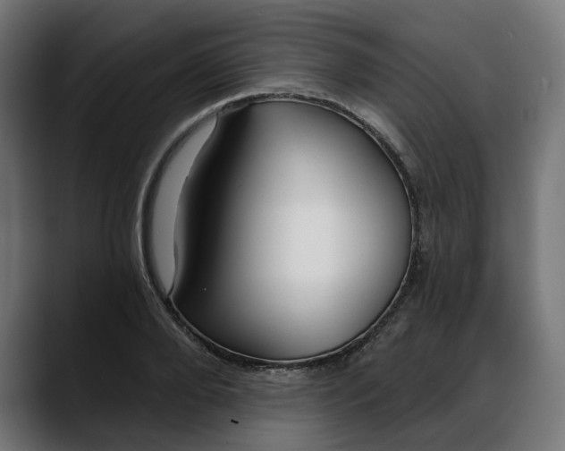 X0000088040888200705251259