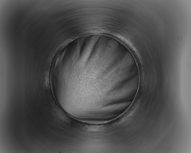 X0000088040889200705251259