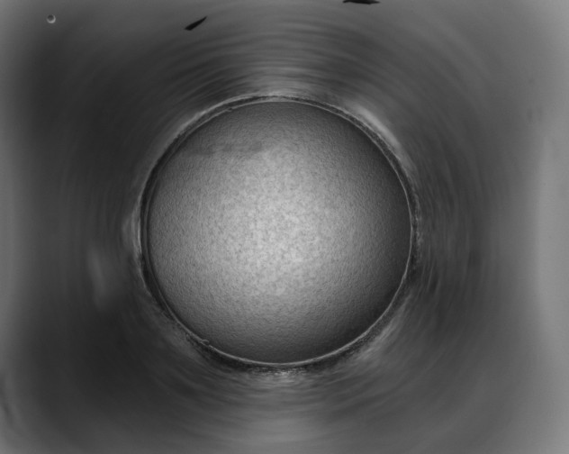 X0000088040891200705251259