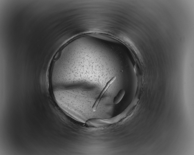 X0000088040892200705251259