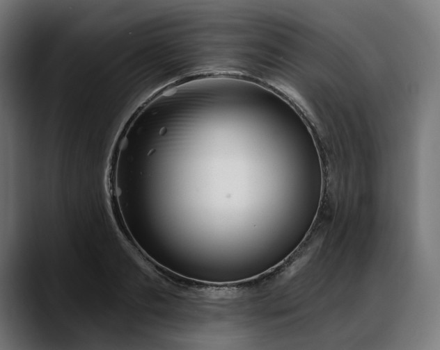 X0000088040893200705251259
