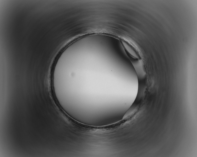 X0000088040894200705251259