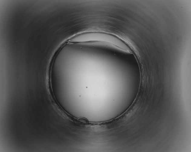 X0000088040896200705251259